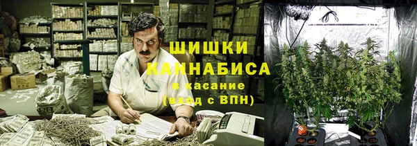 хмурый Алзамай