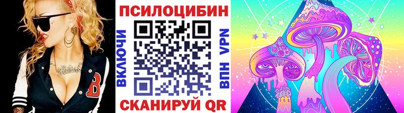 Галлюциногенные грибы Psilocybe  купить закладку  Сурск 